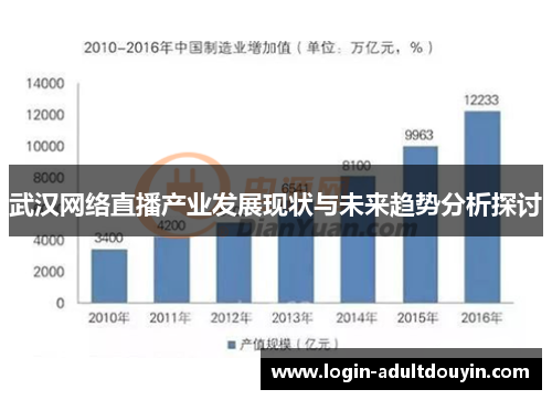 武汉网络直播产业发展现状与未来趋势分析探讨